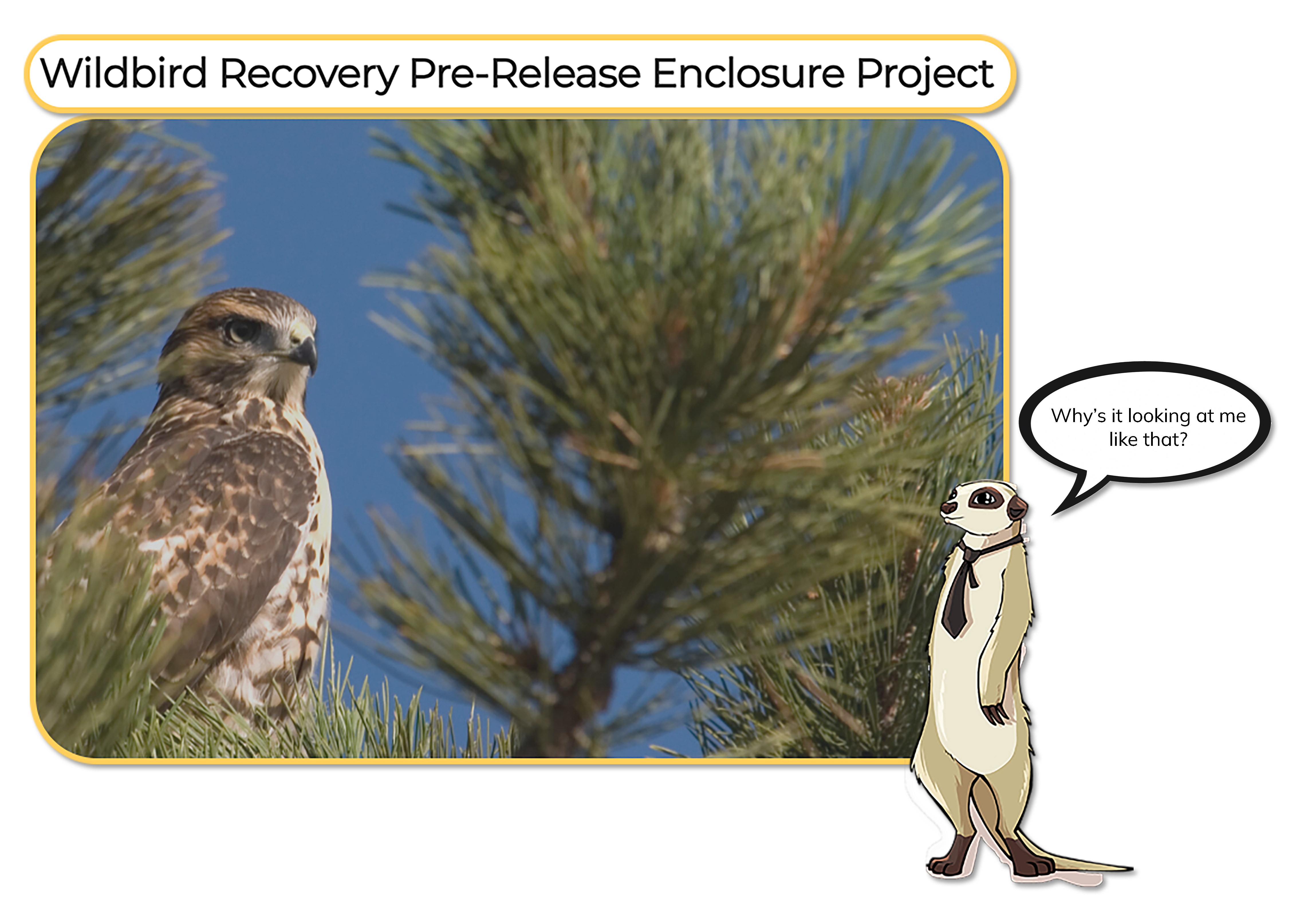 Wildbird Recovery Pre-release Enclosure project campaign screenshot