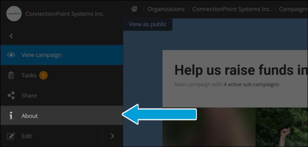 Screenshot of a campaign in editor view. In the left sidebar panel, the fourth option from the top, About, is highlighted