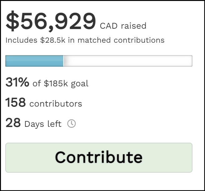 A screenshot of the stats for a mock keep-it-all campaign. The image shows:
Line 1: $56,929 CAD raised
Line 2: blue goal meter
Line 3: 31% of $185k goal
Line 4: 158 contributors
Line 5: 28 days left
Line 6: light green button reading 'Contribute'
