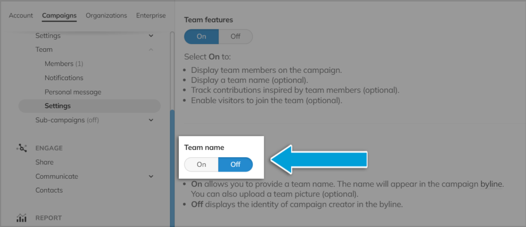Screenshot of the Team Setting menu, highlighting the 'Team name' section, a campaign team name or picture