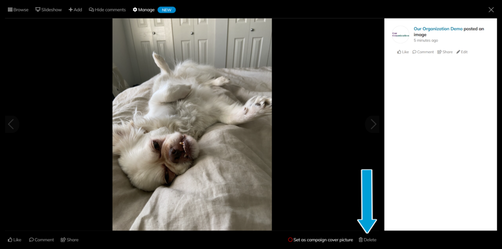 Screenshot of a demo picture, highlighting the 'Delete' option on the bottom right side of the picture