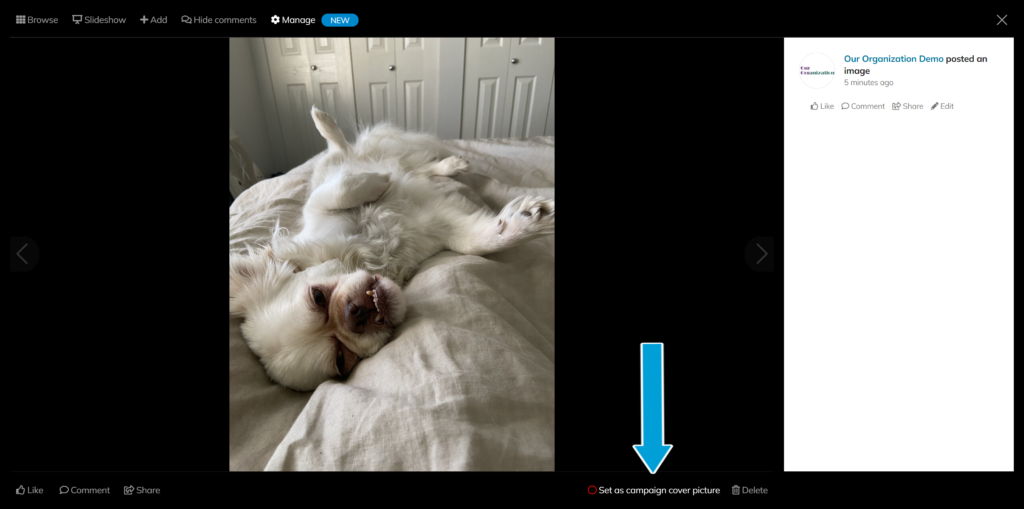 Screenshot of 'Set as campaign cover picture' option on the bottom right side of a campaign image