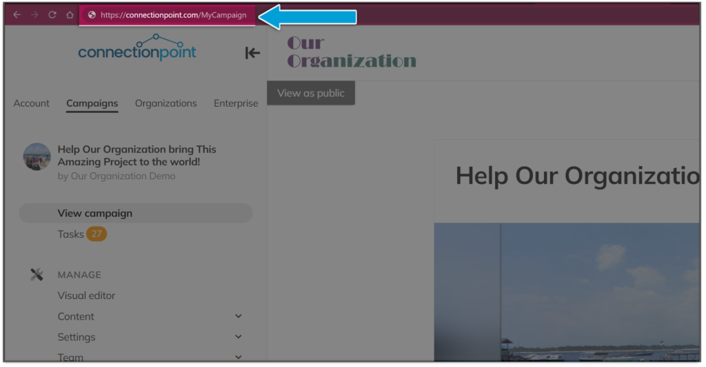 Screenshot of a campaign in Google Chrome, showing the campaign link highlighted in the browser address bar