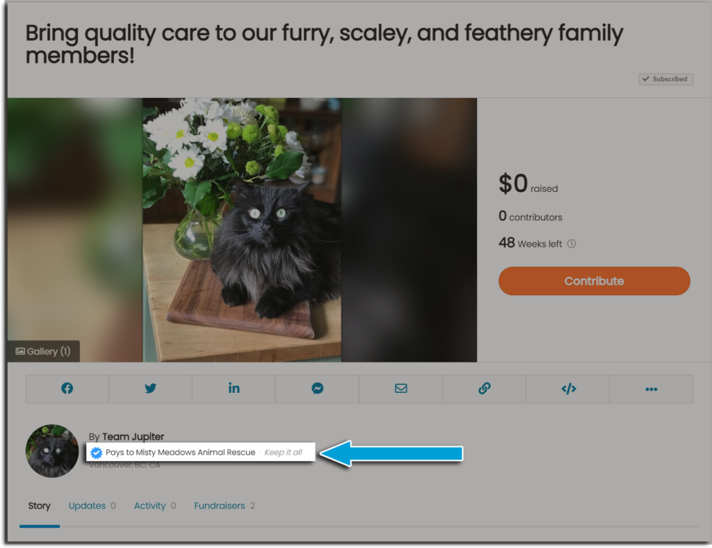 Screenshot of a demo campaign showing team information, with 'Pays to Misty Meadows Animal Rescue" highlighted as a link to view the organization profile