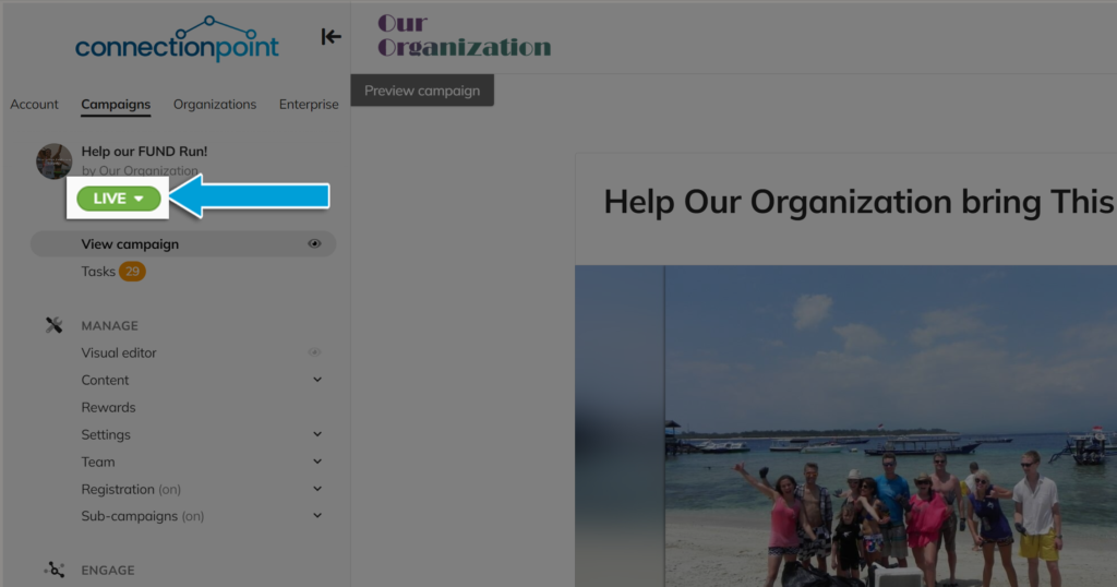 Screenshot of campaign after launch (green 'live' button)