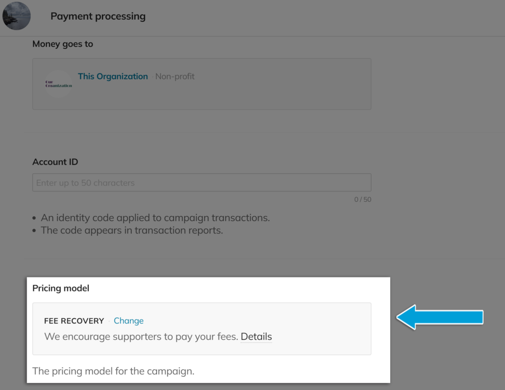 Screenshot highlighting the 'Pricing model' section of the payment processing settings menu in a campaign